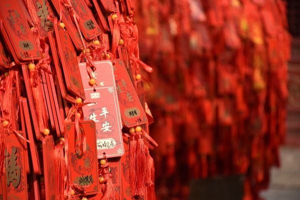 為什么龍魚可以辟邪：為什么龍魚被稱為風(fēng)水魚？
