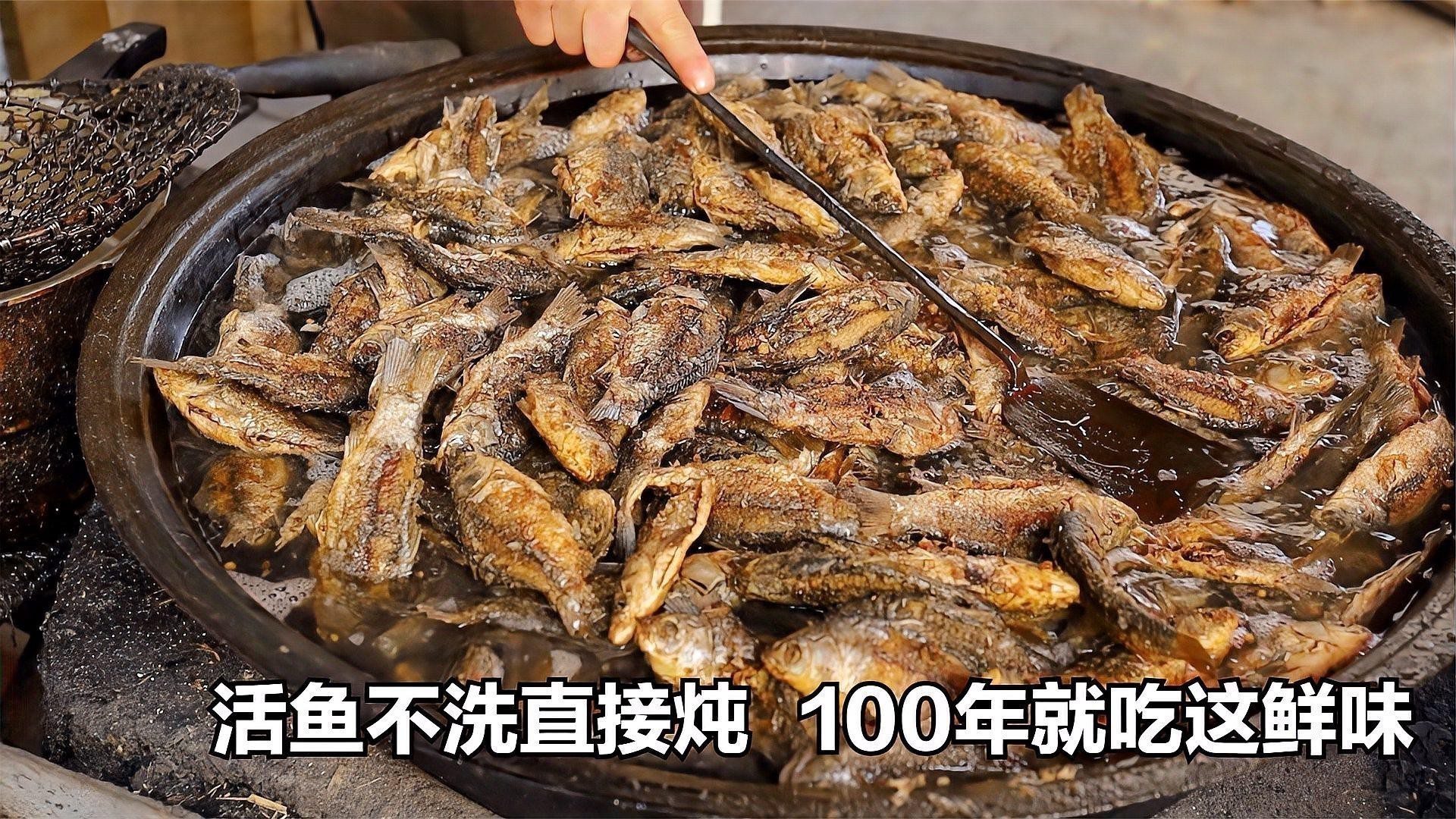 紅龍魚腮部顏色變淺怎么辦？ 紅龍魚腮部顏色變淺怎么辦？ 龍魚百科 第2張