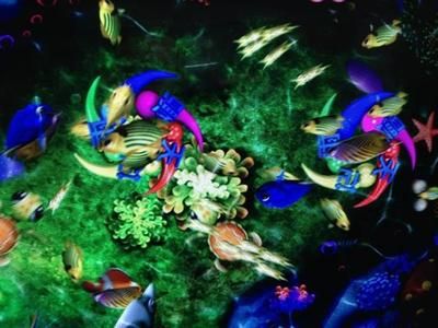 賽級七彩神龍魚多少錢：賽級七彩神龍魚多少錢賽級七彩神龍魚多少錢