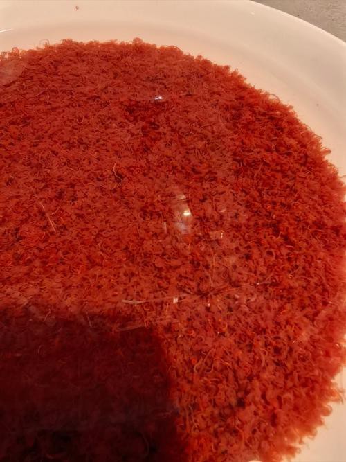 淡水海龍魚能吃紅蟲嗎圖片大全 淡水海龍魚能吃紅蟲嗎圖片大全 龍魚百科 第19張