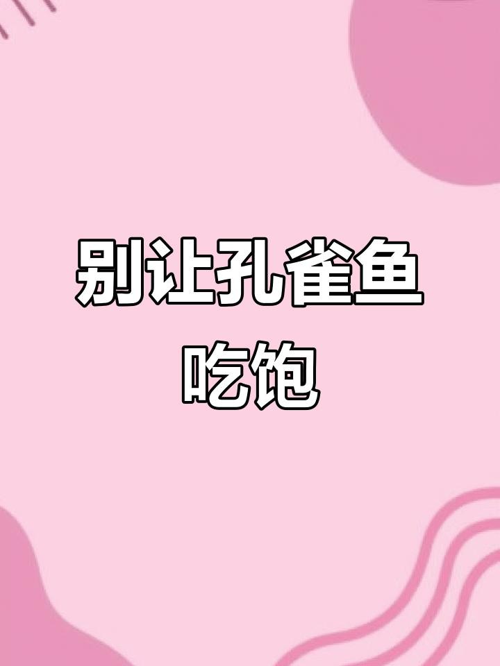紅龍孔雀魚多久喂一次食？