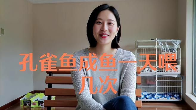 紅龍孔雀魚多久喂一次食？