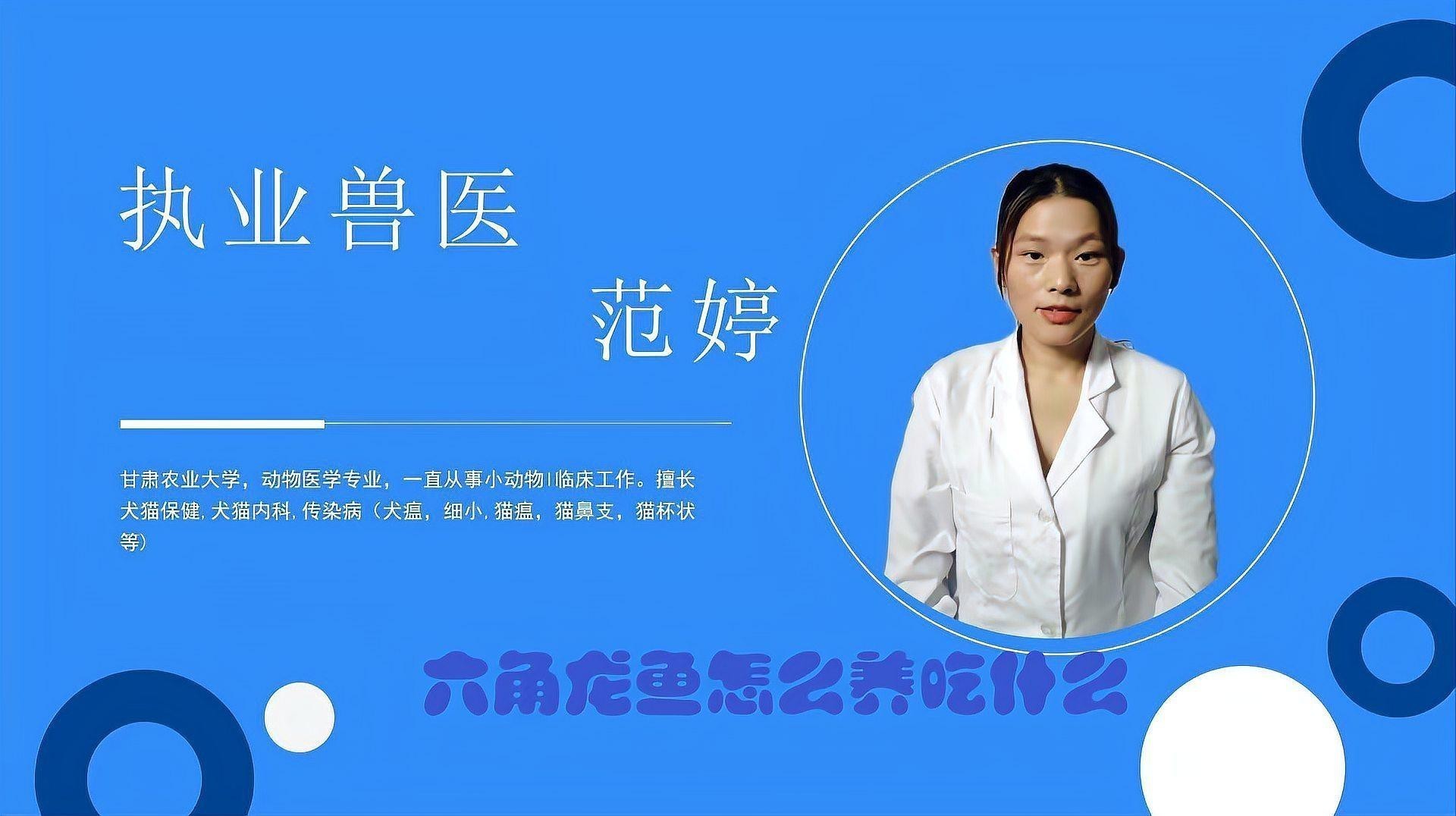 六角龍可以喂哪些食物？