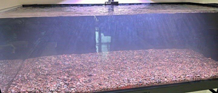 魚缸 老魚匠全國維修點查詢 龍魚百科 老魚匠全國維修點查詢 老魚匠全國維修點查詢 龍魚百科