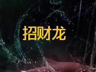龍魚配什么中層魚：虎魚與其他魚類混養的注意事項
