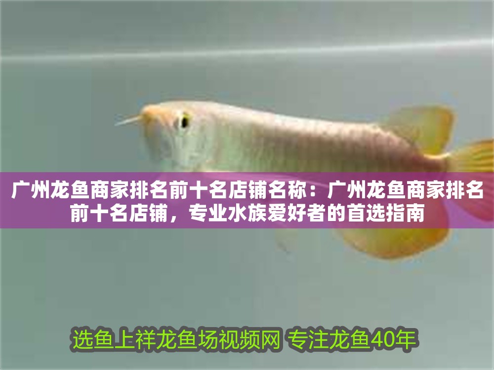 廣州龍魚商家排名前十名店鋪名稱：廣州龍魚商家排名前十名店鋪，專業水族愛好者的首選指南