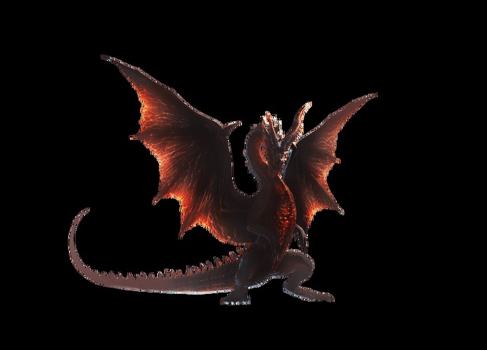 紅龍魚的品種分類圖