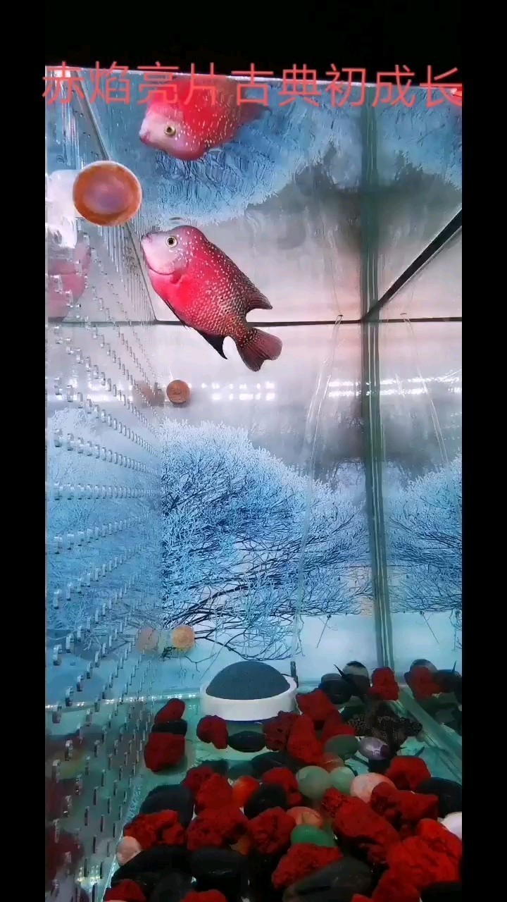今天狀態不錯