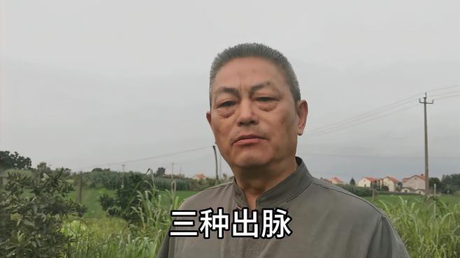 有沒有更多龍脈吉相的圖片？