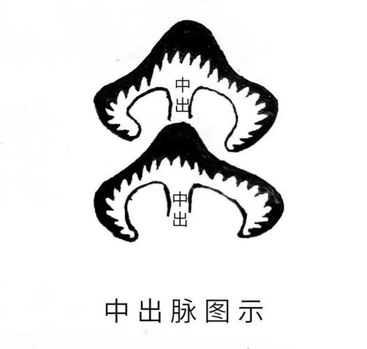 有沒有更多龍脈吉相的圖片？