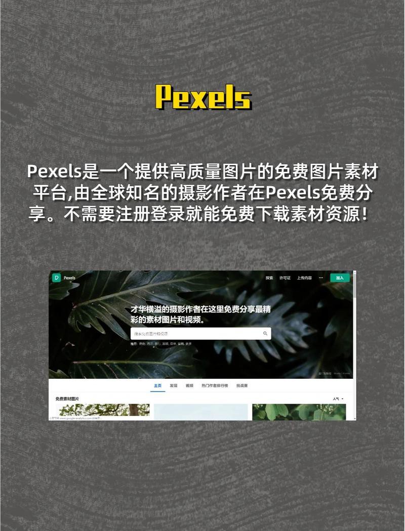 這些素材網站是否收費？