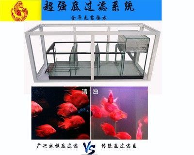 龍魚缸用什么過濾器好用：選擇適合龍魚缸的過濾器