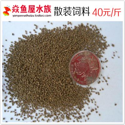 龍魚喂什么最省錢呢：養龍魚時，選擇合適且經濟的餌料是關鍵，營養不夠全面