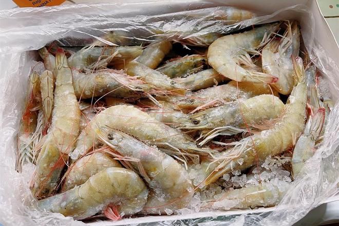 紅龍魚四大漁場排名榜（紅龍魚四大漁場排名）
