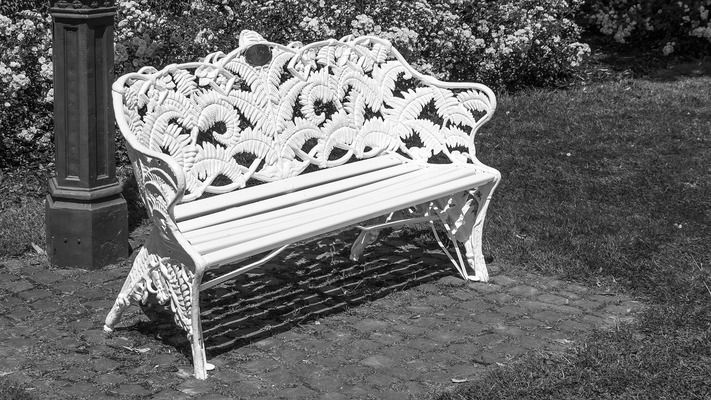 金龍魚白缸養還是黑缸養好一點呢（金龍魚白缸養和黑缸養各有優勢）