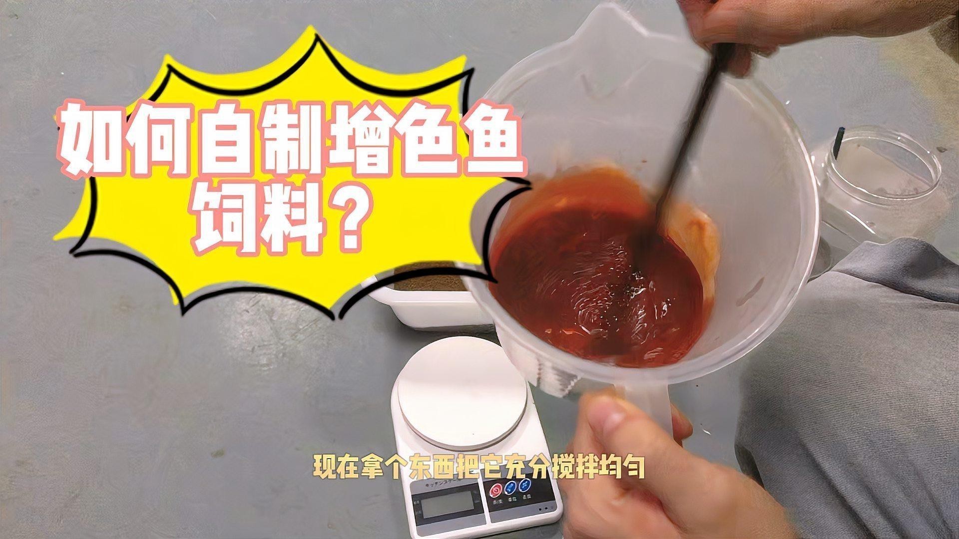 如何判斷增色飼料是否有效？ 如何判斷增色飼料是否有效？ 龍魚(yú)百科 第1張