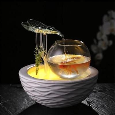 桌面生態小魚缸，桌面小魚缸水草養護技巧