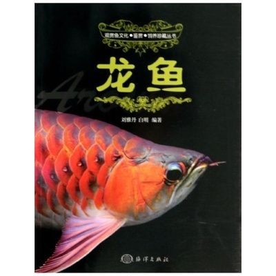 龍魚說明文500字免費(fèi)閱讀：龍魚的相關(guān)知識