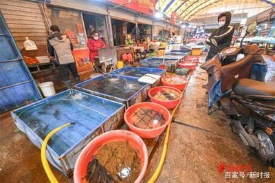 濟(jì)南哪里有賣龍魚(yú)的市場(chǎng)地址（濟(jì)南一些比較知名的水族市場(chǎng)和龍魚(yú)銷售點(diǎn)）