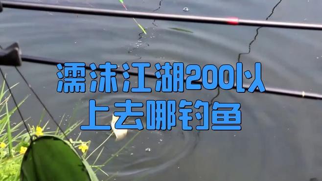 濡沫江湖銀龍魚在哪里釣幾率最高
