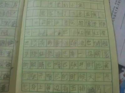 龍魚描寫作文：寫作龍魚描寫作文的方法