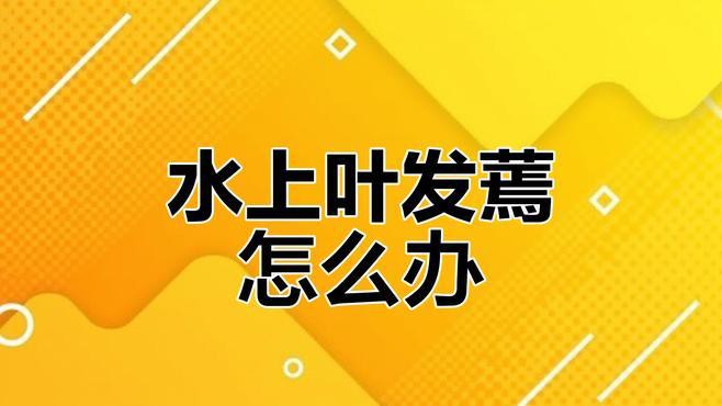 移栽成熟水草時需要注意什么？