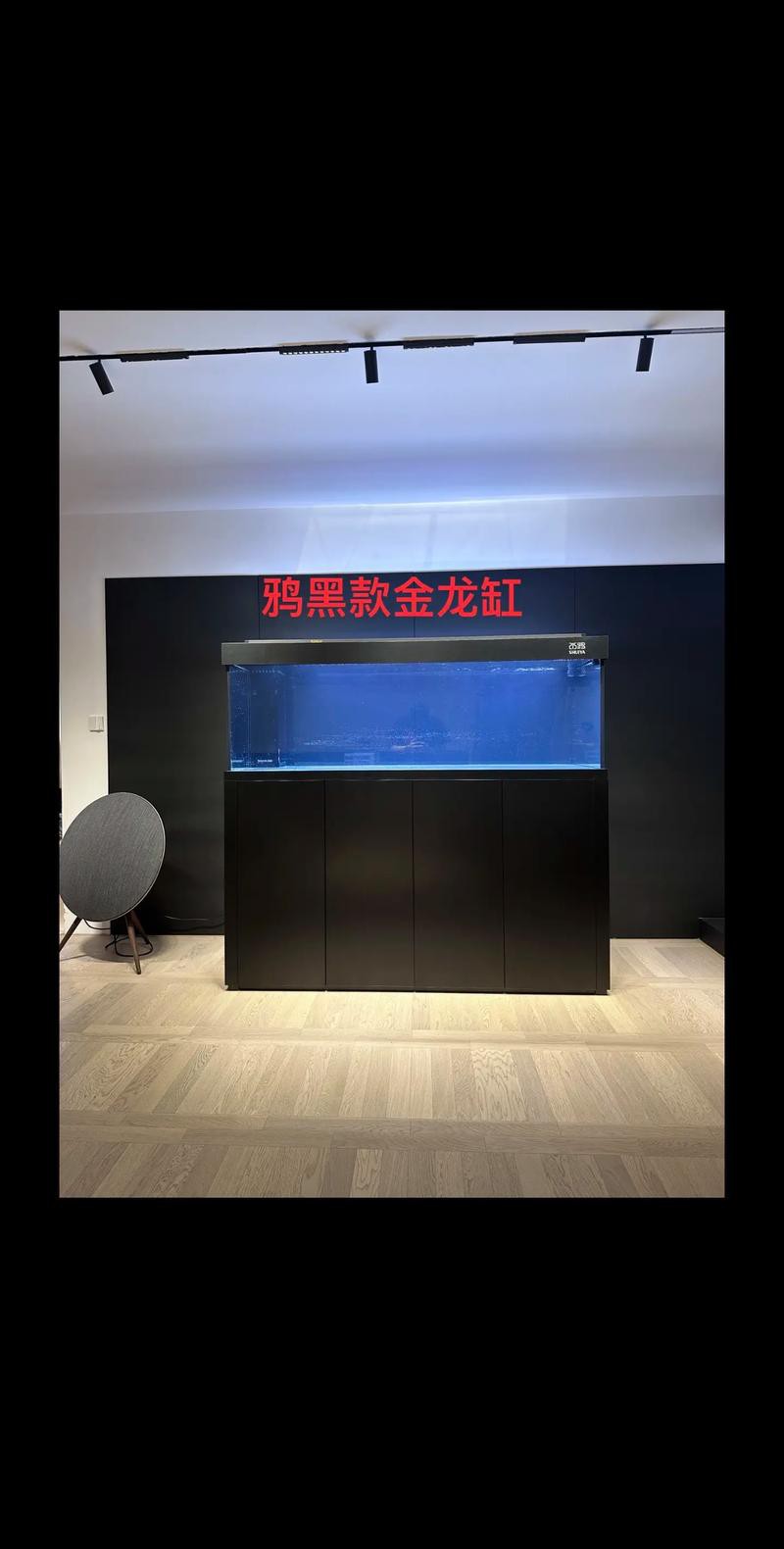 養(yǎng)金龍魚魚缸背景用什么顏色的