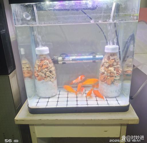 停食期間如何保持水質穩定？