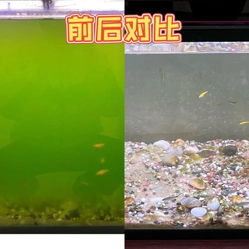 停食期間如何保持水質穩(wěn)定？