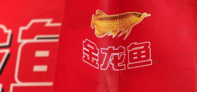 金龍魚中國區(qū)總裁年薪， 金龍魚中國區(qū)總裁年薪， 龍魚百科 第4張