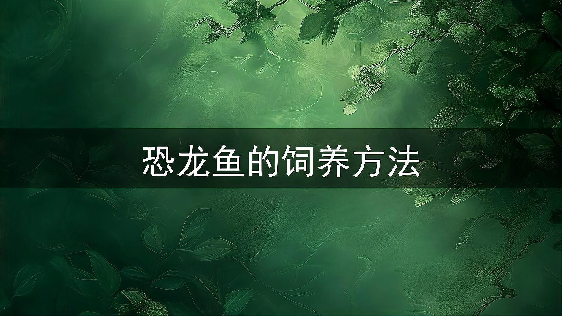 恐龍魚(yú)冬天怎么養(yǎng)好