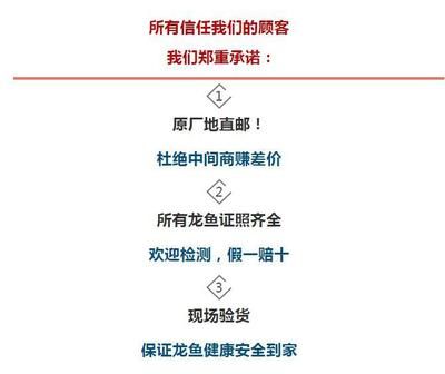 古典龍魚和金龍魚哪個好（古典龍魚和金龍魚哪個好呢？）
