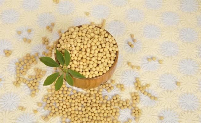 濟(jì)南金龍魚銀龍魚回收電話地址（濟(jì)南金龍魚銀龍魚回收電話地址在提供的搜索結(jié)果中沒有直接信息）