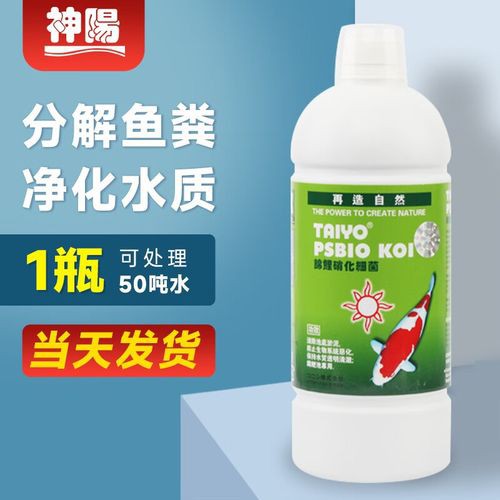 有哪些適合金龍魚的消毒劑？