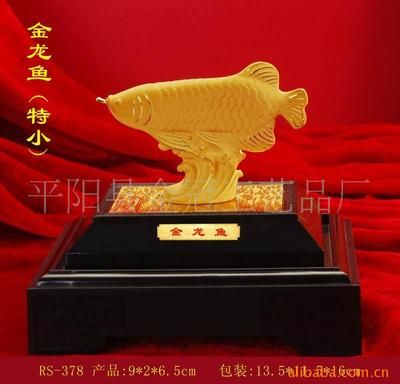 怎樣夸獎金龍魚的句子好看：用來贊美金龍魚的唯美句子來贊美金龍魚的唯美句子