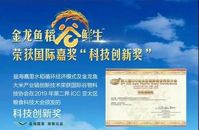 怎樣夸獎金龍魚的句子好看：用來贊美金龍魚的唯美句子來贊美金龍魚的唯美句子