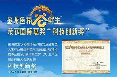 怎樣夸獎金龍魚的句子好看：用來贊美金龍魚的唯美句子來贊美金龍魚的唯美句子