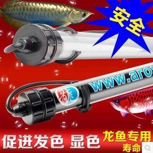 新龍魚趴缸怎么處理干凈：如何處理新龍魚趴缸？ 新龍魚趴缸怎么處理干凈：如何處理新龍魚趴缸？ 龍魚百科 第1張