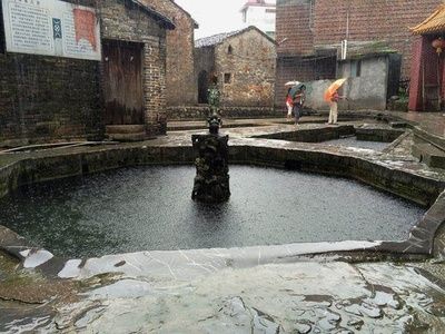 龍魚(yú)豎立怎么辦：龍魚(yú)豎立是怎么回事