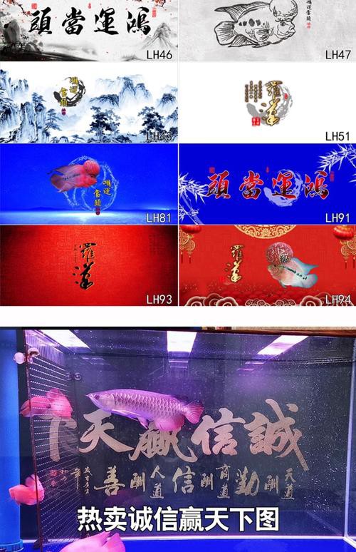 金龍魚魚缸背景圖片大全