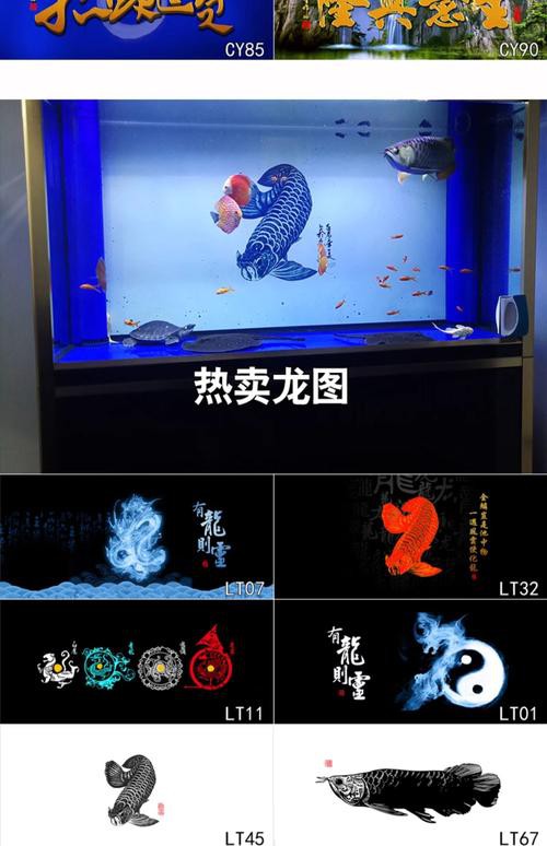 金龍魚魚缸背景圖片大全