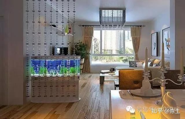 金龍魚魚缸背景圖片大全