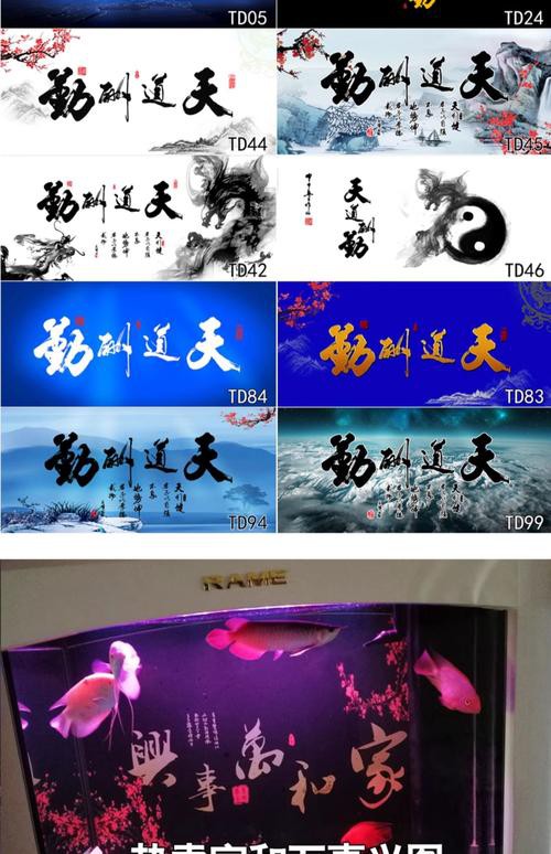 金龍魚魚缸背景圖片大全