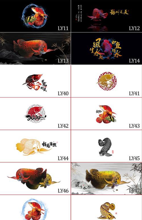 金龍魚魚缸背景圖片大全