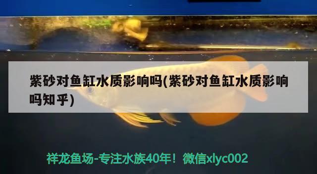 紫砂對魚缸水質影響嗎(紫砂對魚缸水質影響嗎知乎)