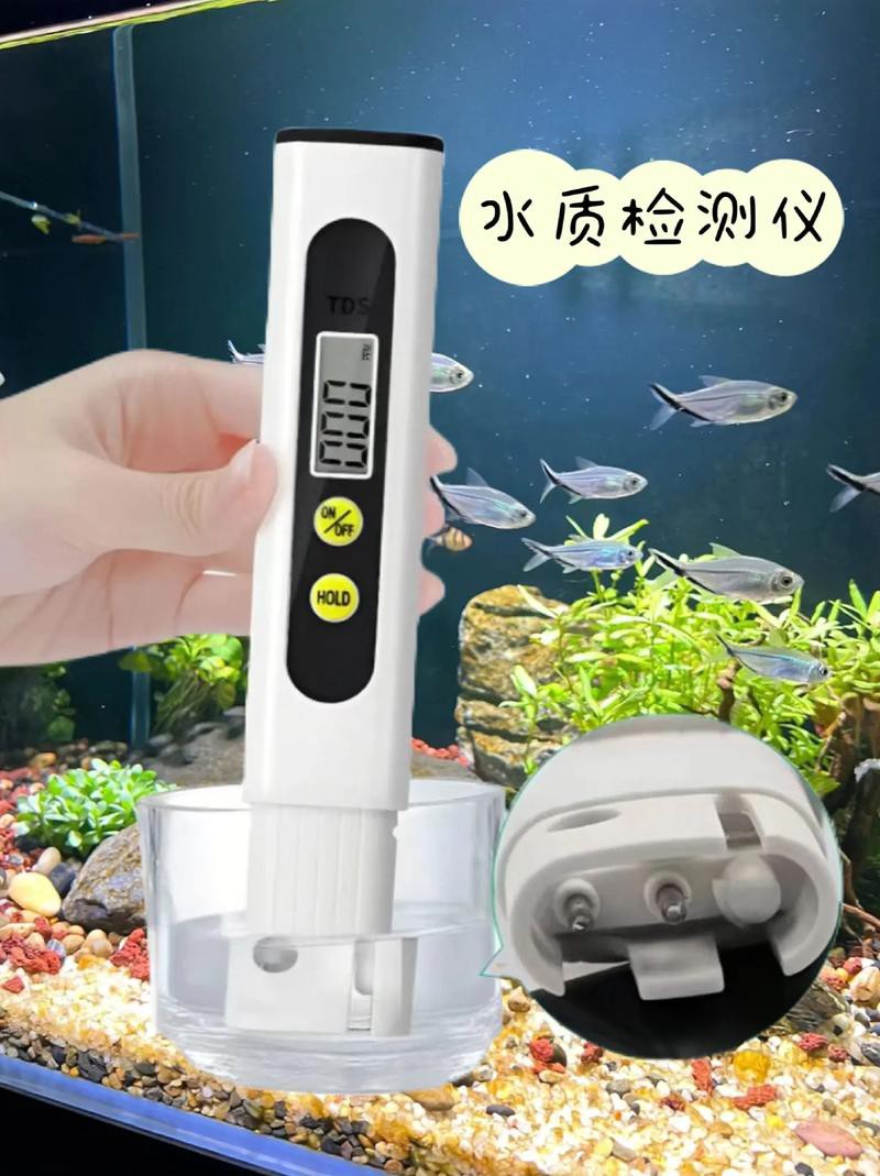 六角恐龍魚怎么養及喂養技巧圖解大全