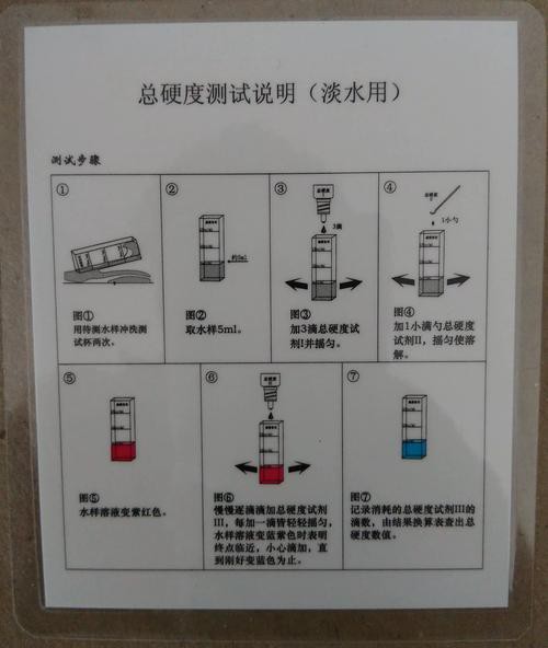 六角恐龍魚怎么養及喂養技巧圖解大全