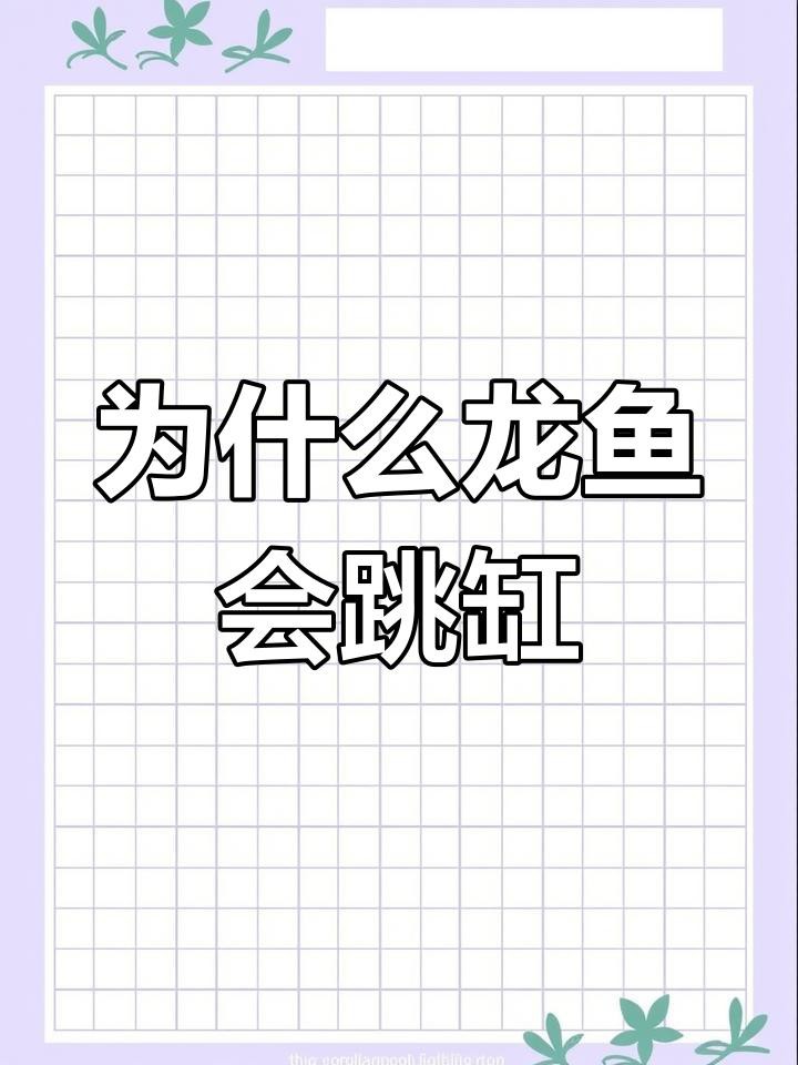 如何預(yù)防龍魚(yú)再次跳缸？