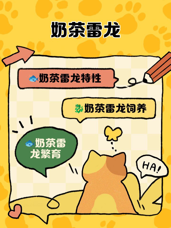 養雷龍魚水要多深