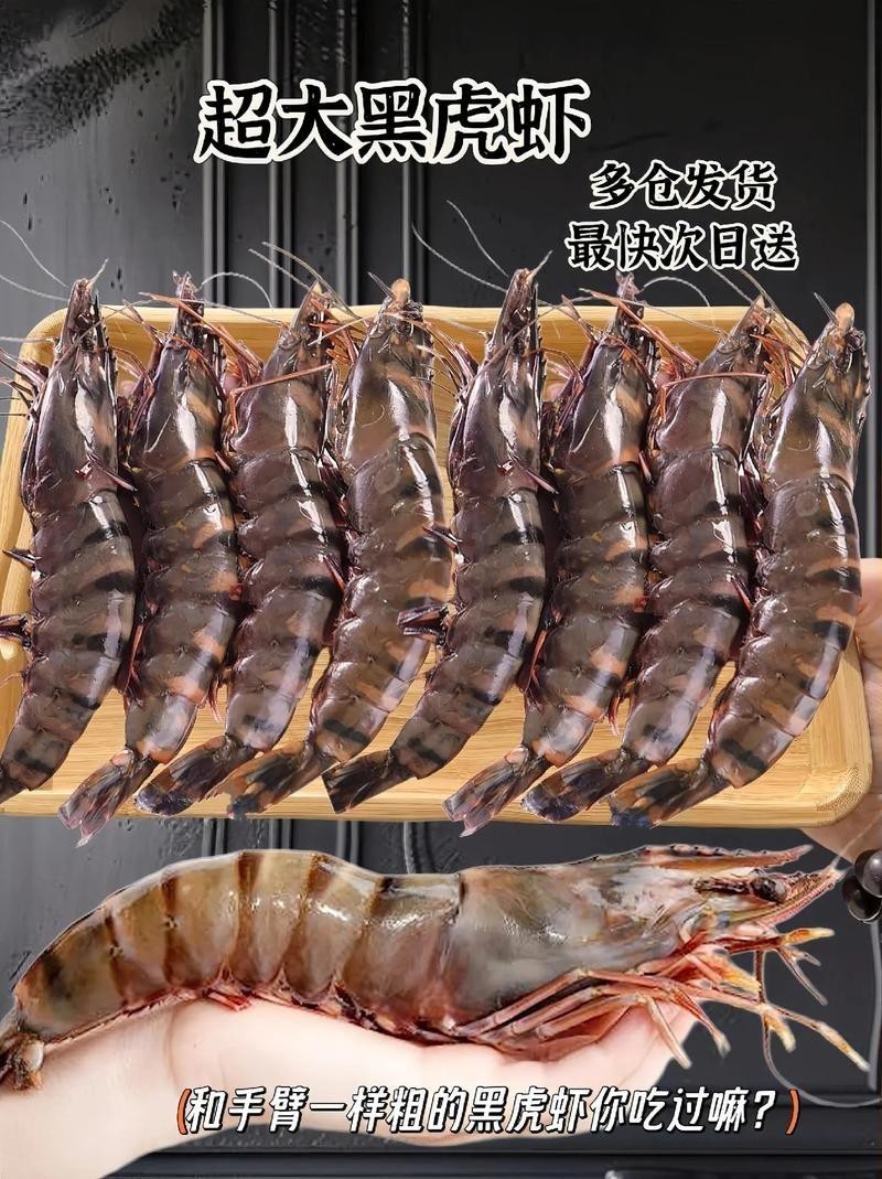 小龍魚黑虎蝦